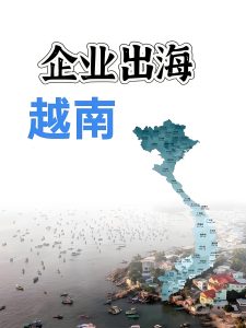 企業出海，越南